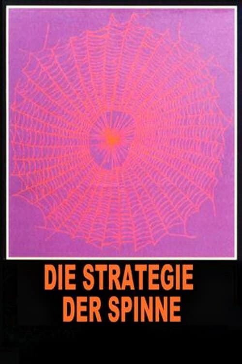 Die Strategie der Spinne