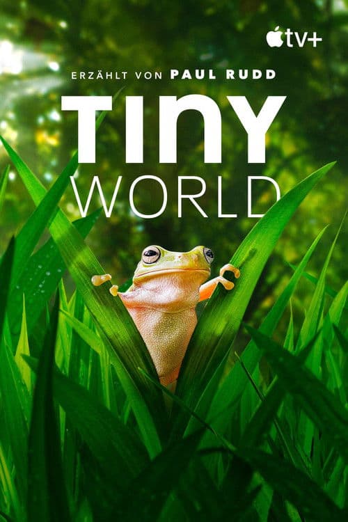 Tiny World