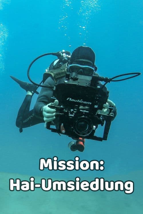 Shark Movers: Deadly Cargo