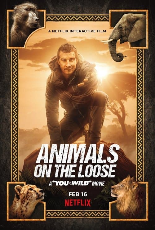 Du gegen die Wildnis – Der Film