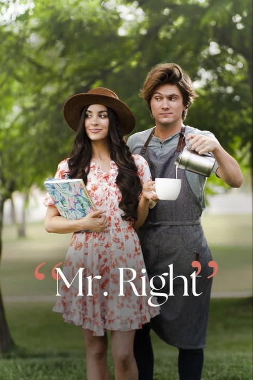 Liebe zwischen den Zeilen - Mr. Right