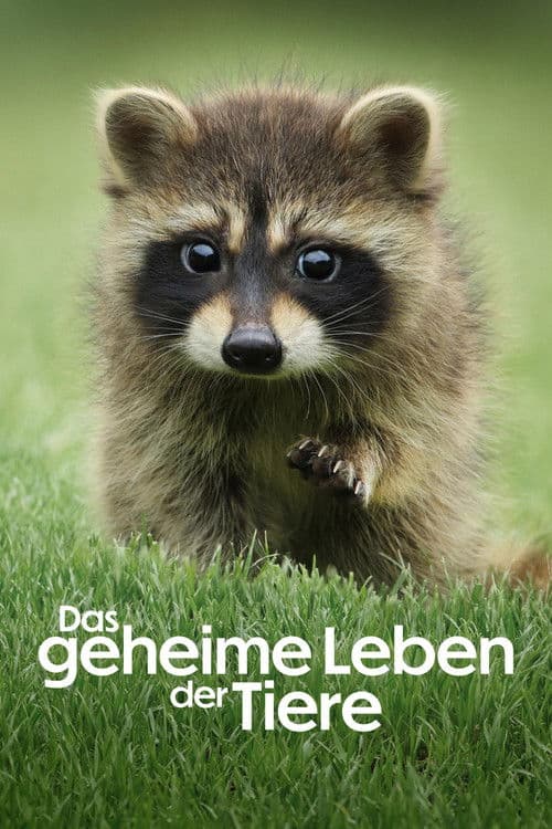 Das geheime Leben der Tiere