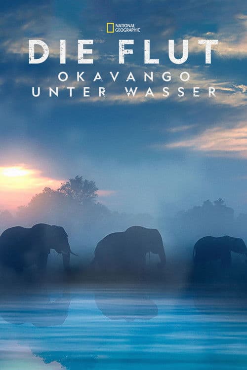 Die Flut - Okavango unter Wasser