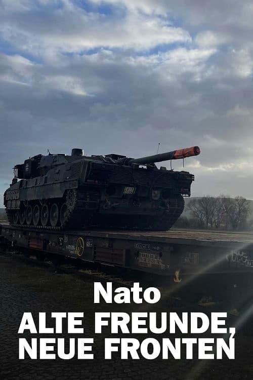 Nato – Alte Freunde, neue Fronten