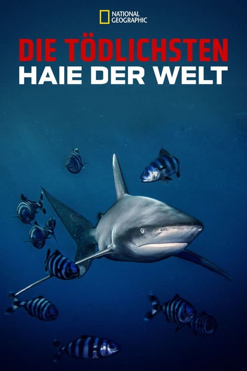 Die tödlichsten Haie der Welt