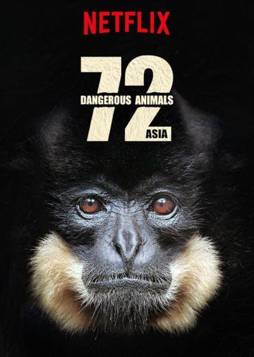72 gefährliche Tiere: Asien