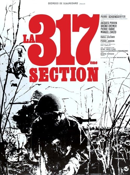 Die 317. Sektion