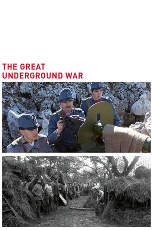 Der Erste Weltkrieg unter Tage
