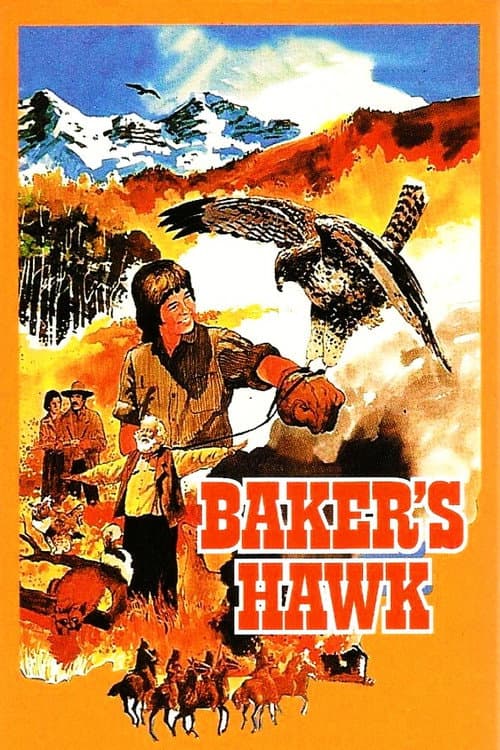 Bakers Habicht