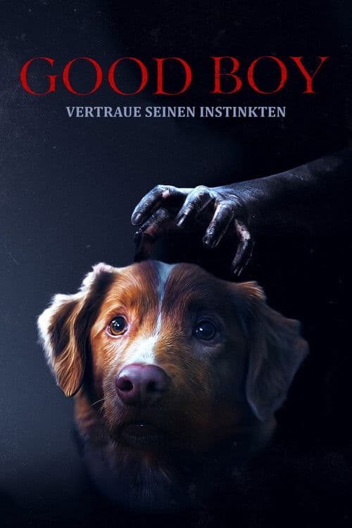 Good Boy - Trust His Instincts