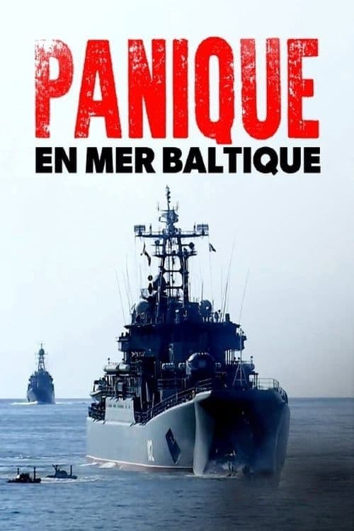 Panik vor Putin - Russland, das Baltikum und die NATO