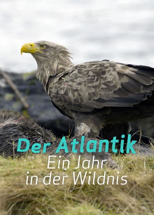 Der Atlantik: Ein Jahr in der Wildnis