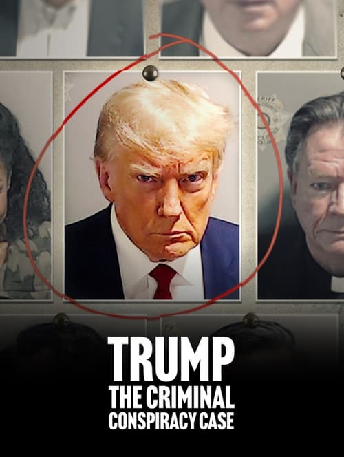 Trump: Ein US-Präsident vor Gericht