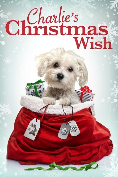 Charlie's Christmas Wish - Ein Weihnachtsfest der Hoffnung