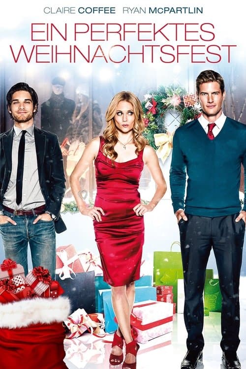 Ein perfektes Weihnachtsfest