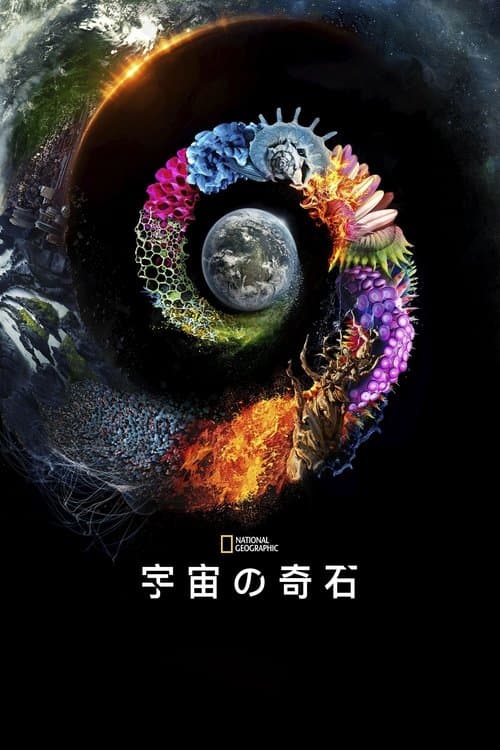 Will Smith - Wundersame Welt