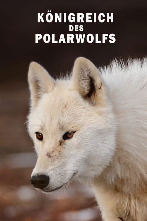 Königreich des Polarwolfs