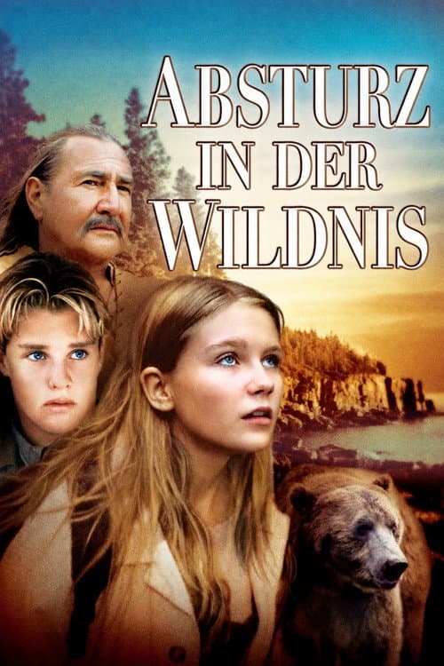 Absturz in der Wildnis