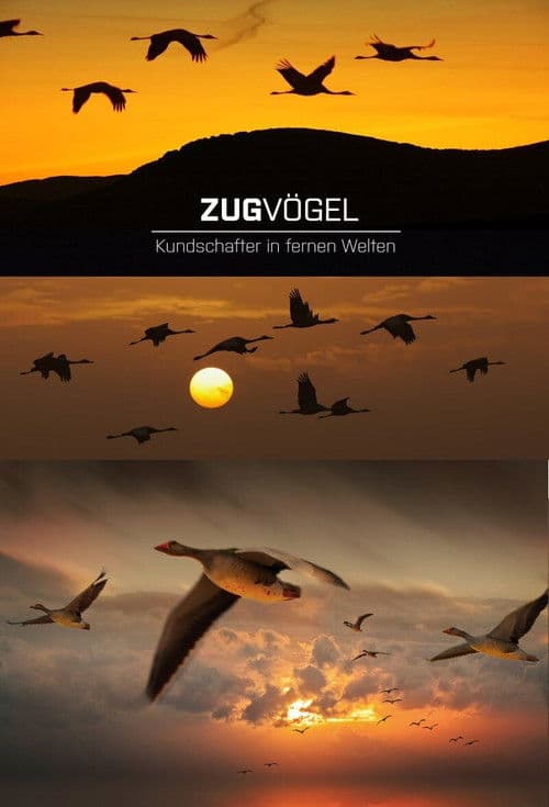 Zugvögel - Kundschafter in fernen Welten