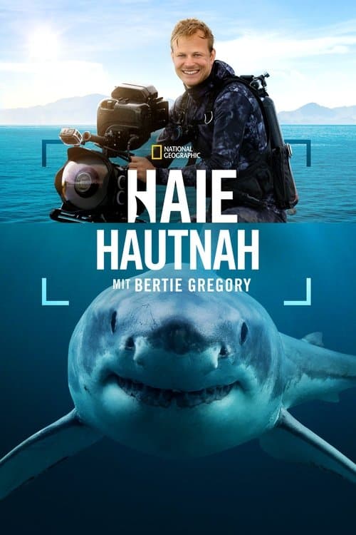 Haie hautnah mit Bertie Gregory