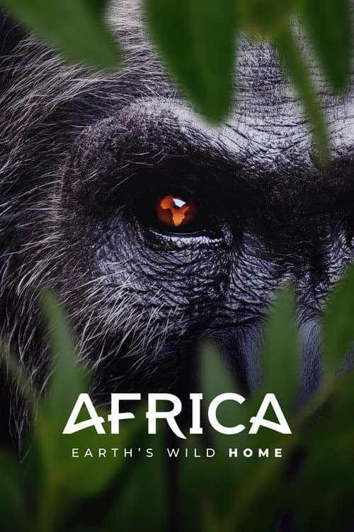 Wilde Erde: Afrika