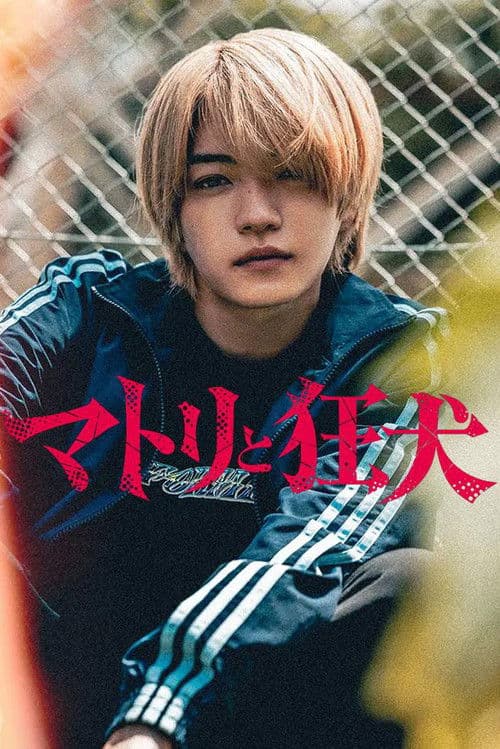 マトリと狂犬