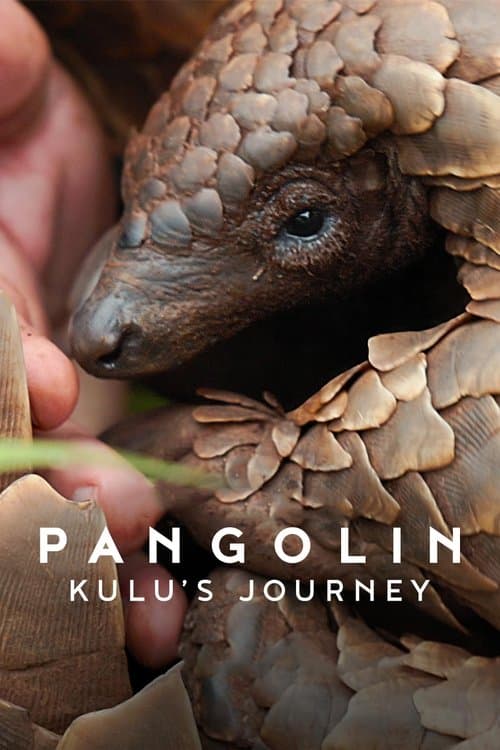 Pangolin: Kulus Weg