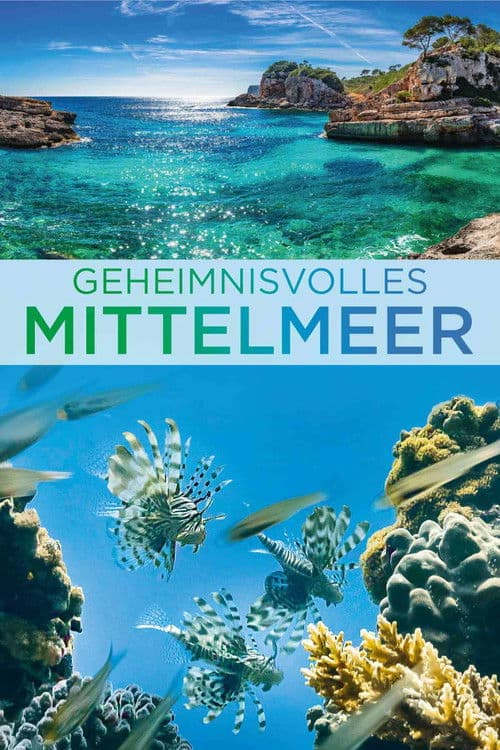 Geheimnisvolles Mittelmeer - Von Pottwalen und Wüstenfüchsen