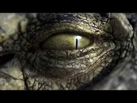 Trailer-Vorschau: Robocroc