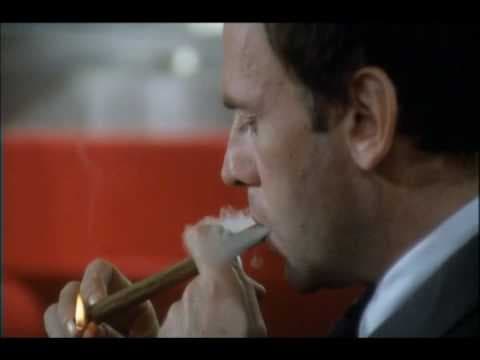 Trailer-Vorschau: Das wilde Schaf