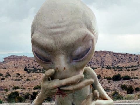 Trailer-Vorschau: Paul - Ein Alien auf der Flucht