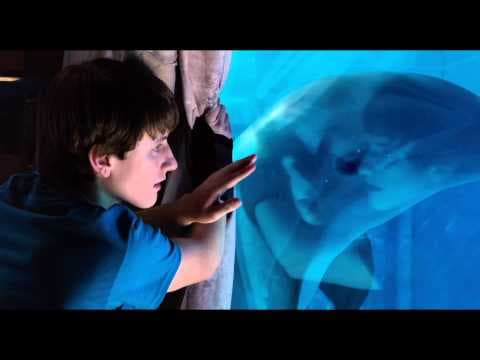 Trailer-Vorschau: Mein Freund, der Delfin 2