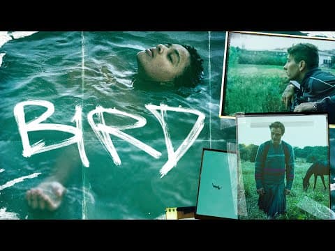 Trailer-Vorschau: Bird