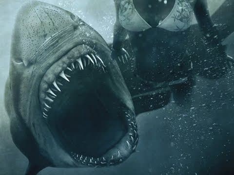 Trailer-Vorschau: Shark Night - Das Grauen lauert in der Tiefe