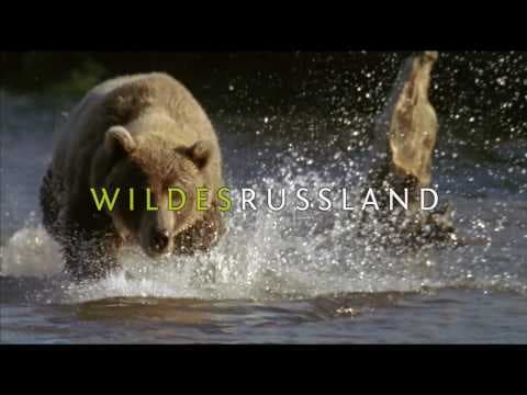 Trailer-Vorschau: Wildes Russland