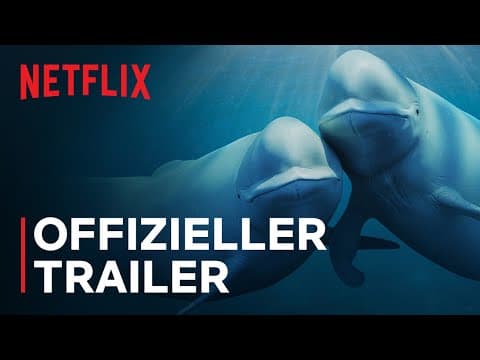 Trailer-Vorschau: Unsere Ozeane