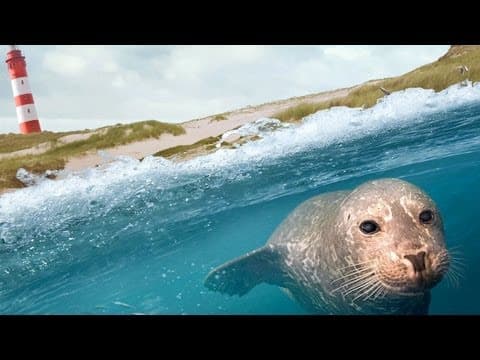 Trailer-Vorschau: Die Nordsee - Unser Meer
