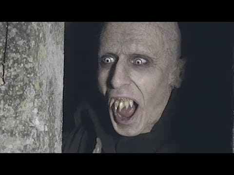 Trailer-Vorschau: 5 Zimmer Küche Sarg