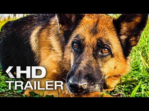 Trailer-Vorschau: Ein Hund namens Palma