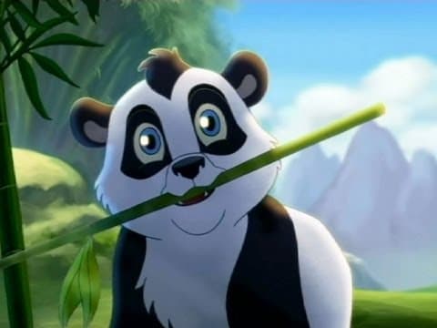 Trailer-Vorschau: Kleiner starker Panda