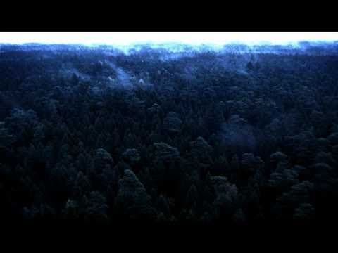 Trailer-Vorschau: Wolfsfährte