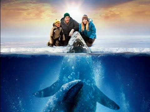 Trailer-Vorschau: Der Ruf der Wale