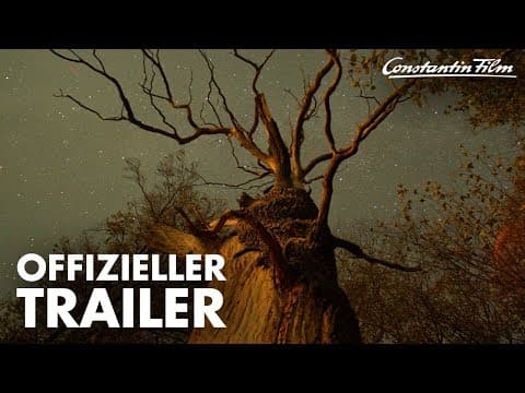 Trailer-Vorschau: Das geheime Leben der Bäume