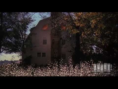 Trailer-Vorschau: Amityville Horror