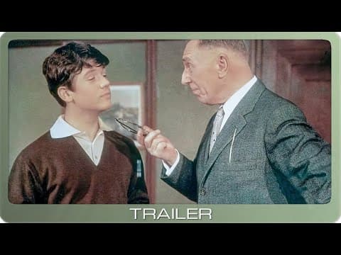 Trailer-Vorschau: Zur Hölle mit den Paukern