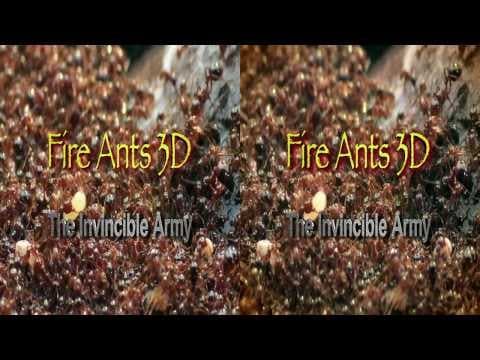 Trailer-Vorschau: Fire Ants 3D - Die unbesiegbare Armee
