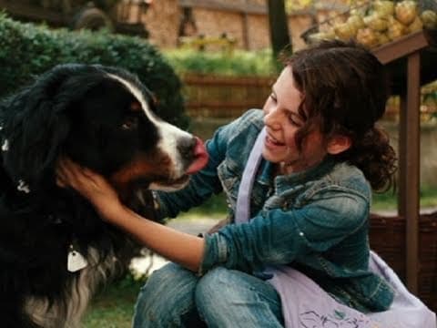 Trailer-Vorschau: Löwenzahn - Das Kinoabenteuer