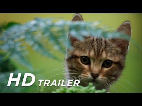 Trailer-Vorschau: Lou - Abenteuer auf Samtpfoten
