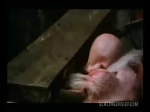 Trailer-Vorschau: Das deutsche Kettensägenmassaker