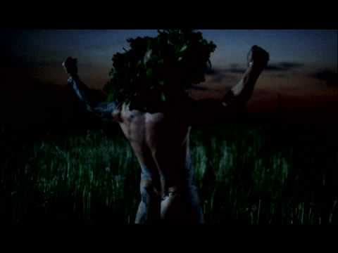 Trailer-Vorschau: Midsummer Madness